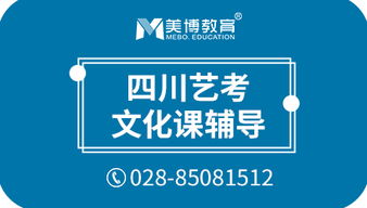 成都藝術(shù)生文化課輔導與科技指導