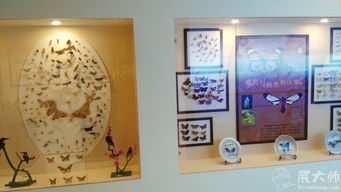 桂林植物園科普展廳 展大師特裝與三牛文化科技賦能下的自然探索